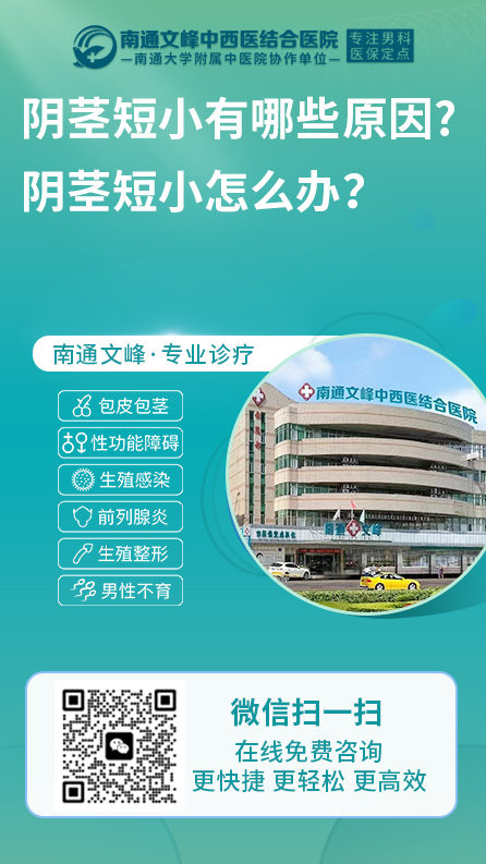 小阴茎