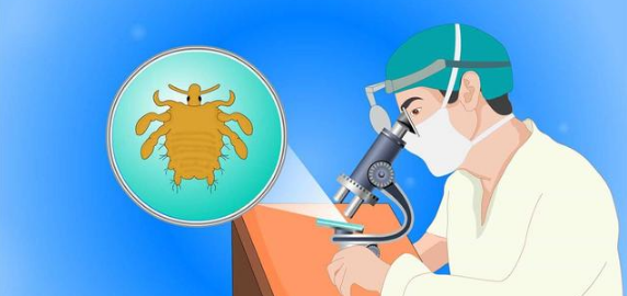 热门发布：南通文峰医院正规吗？阴虱是什么原因得的？