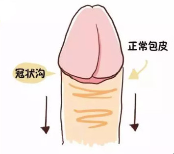 图片72.png